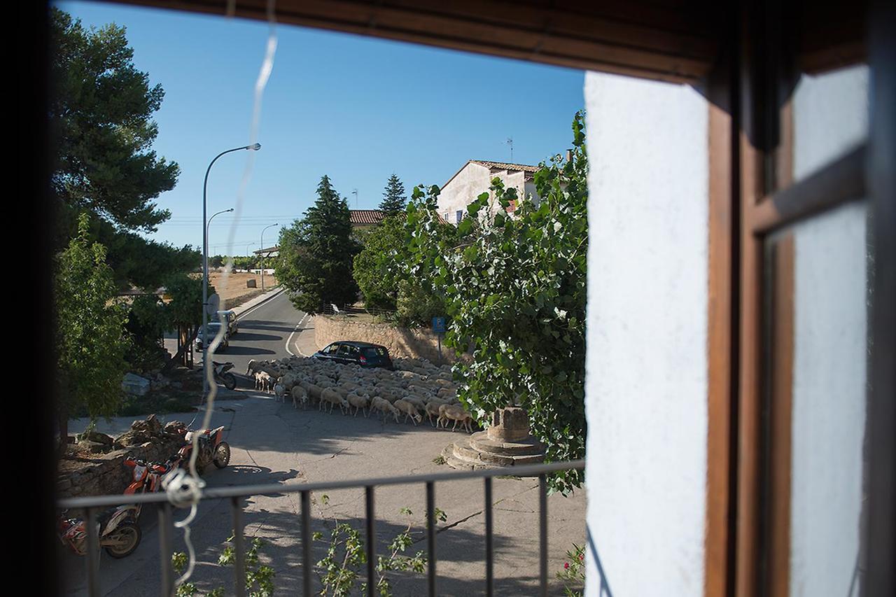 Crux Albergue Adahuesca Bagian luar foto